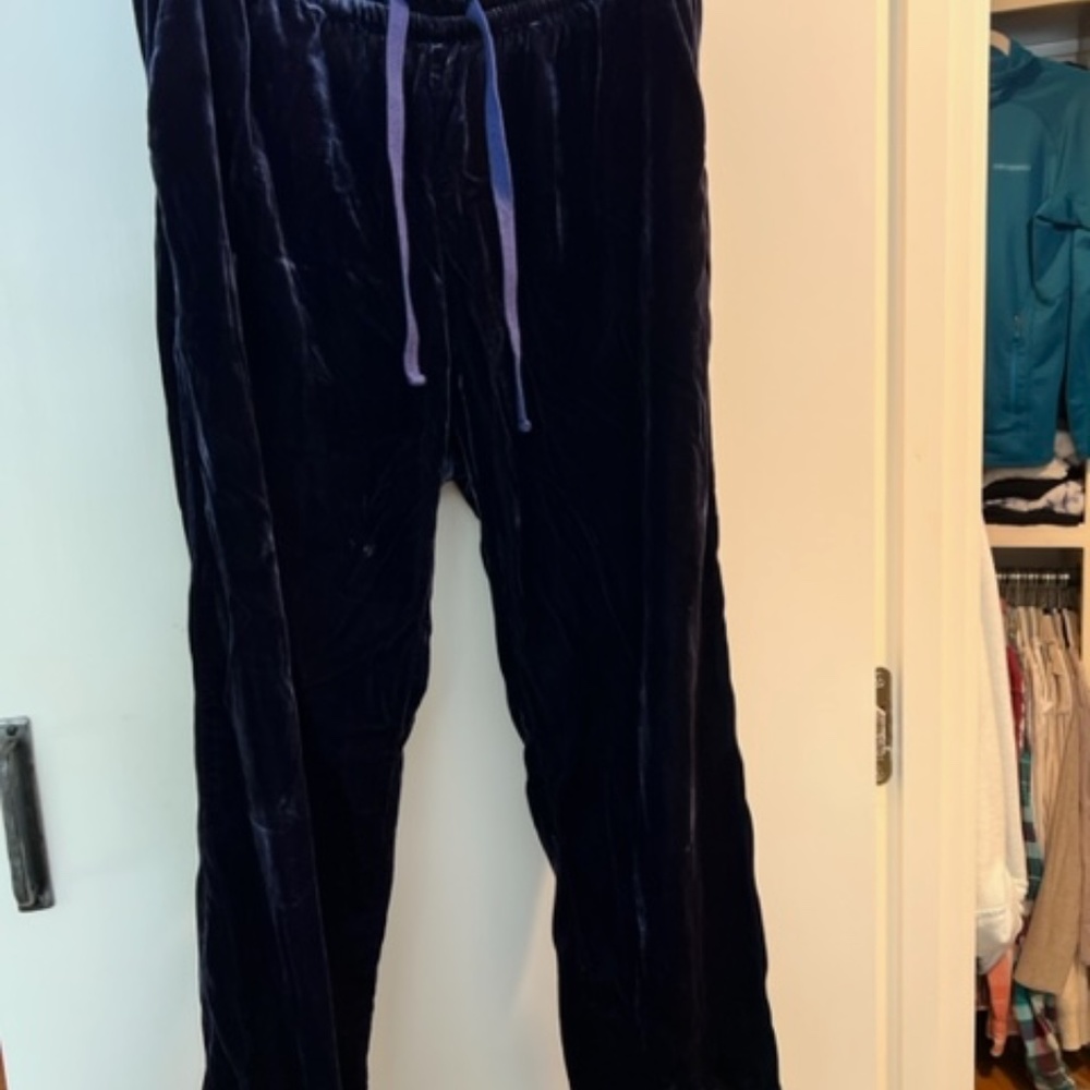 Women's Velvet jogger style pants